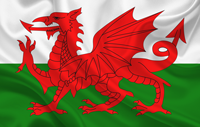 flag