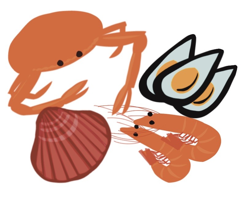 40mariscos