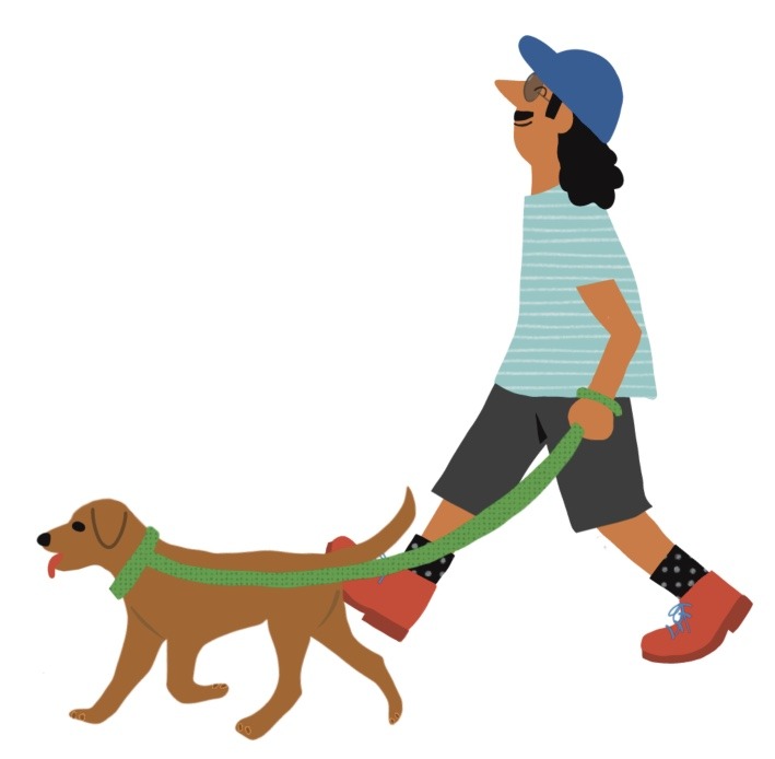 pasear