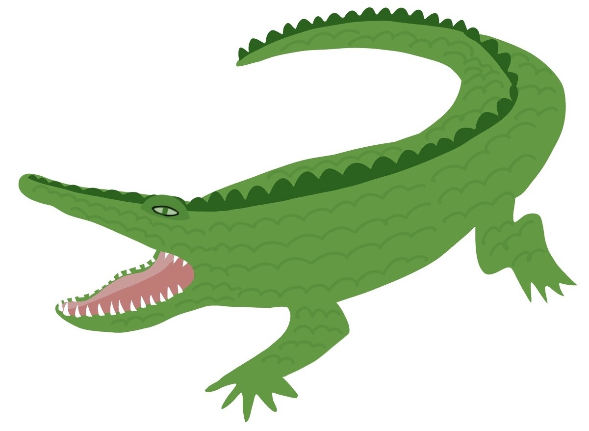 cocodrilo