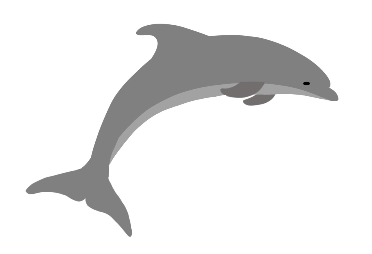 delfin
