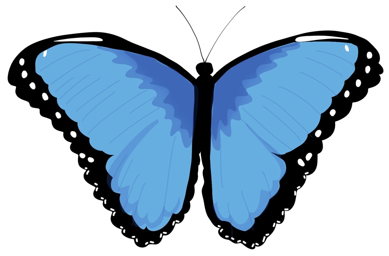 mariposa