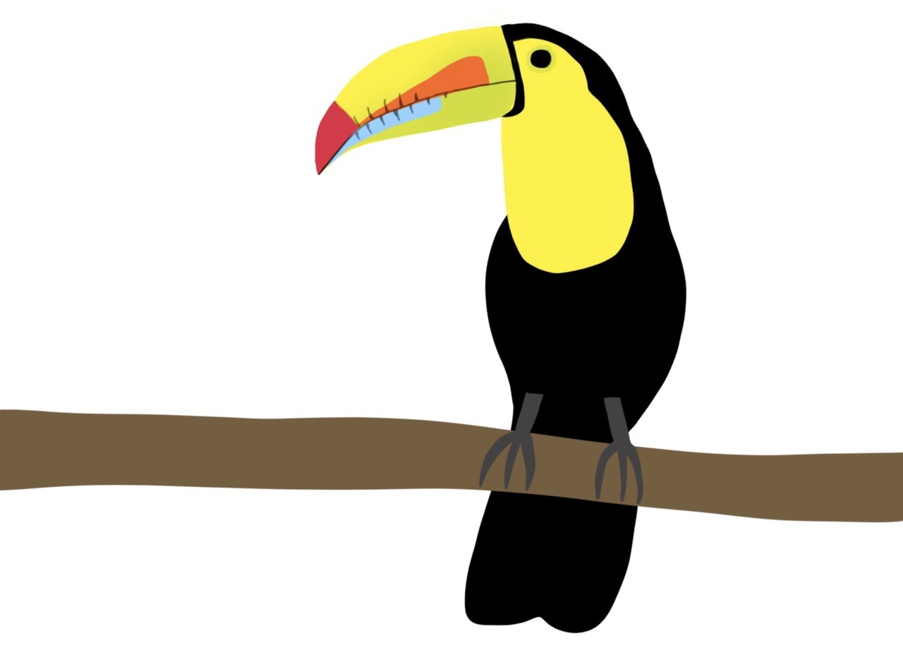 tucan
