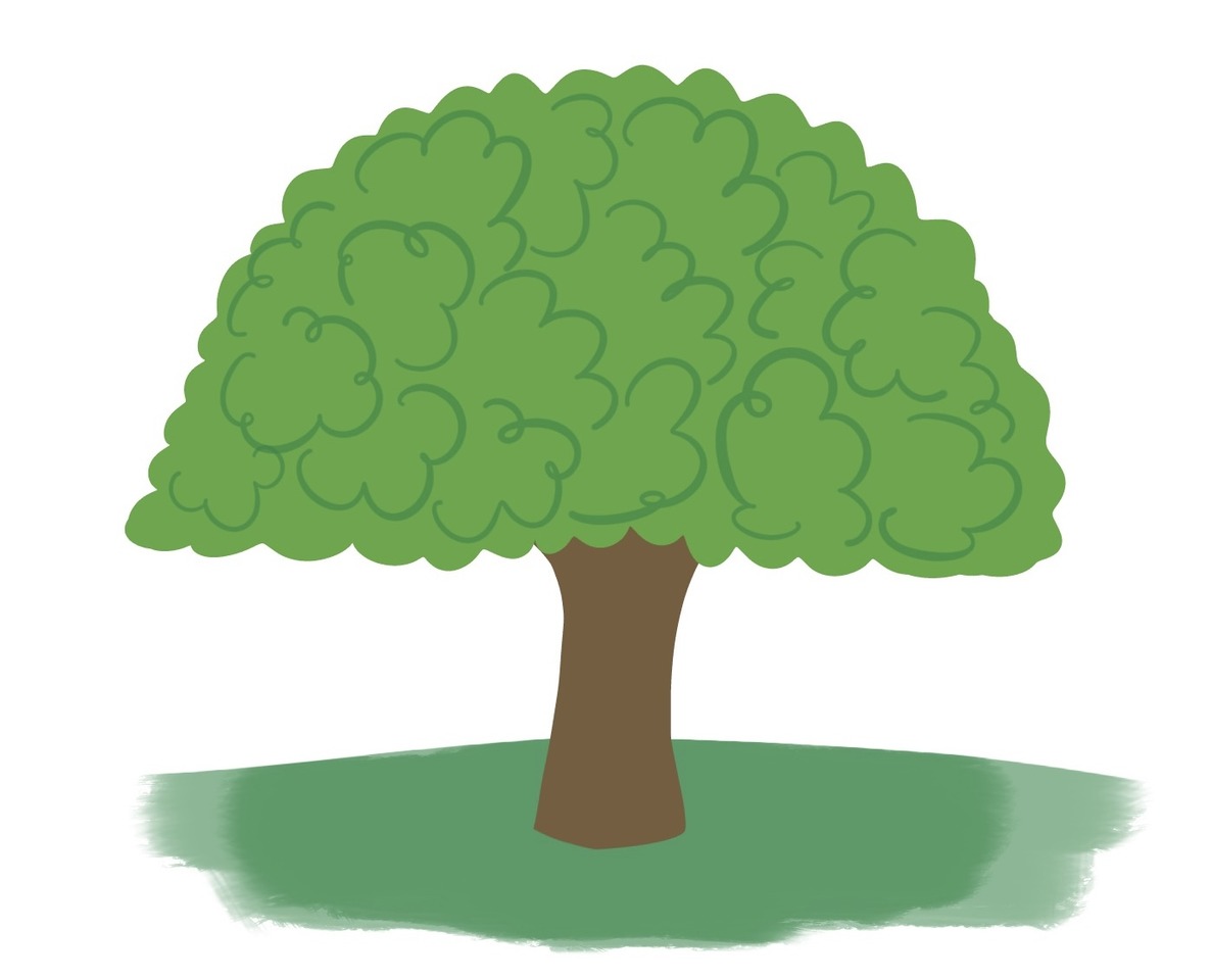 arbol