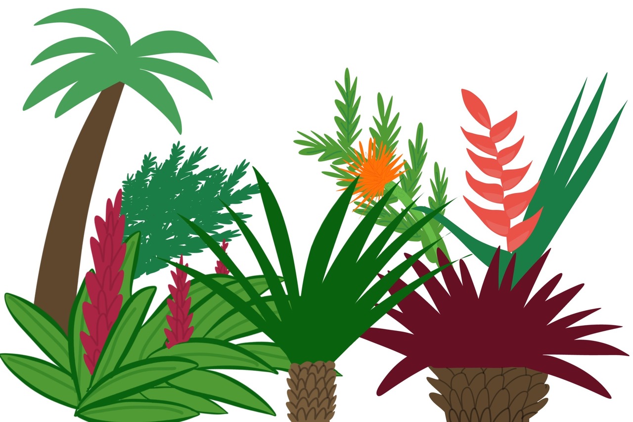 flora