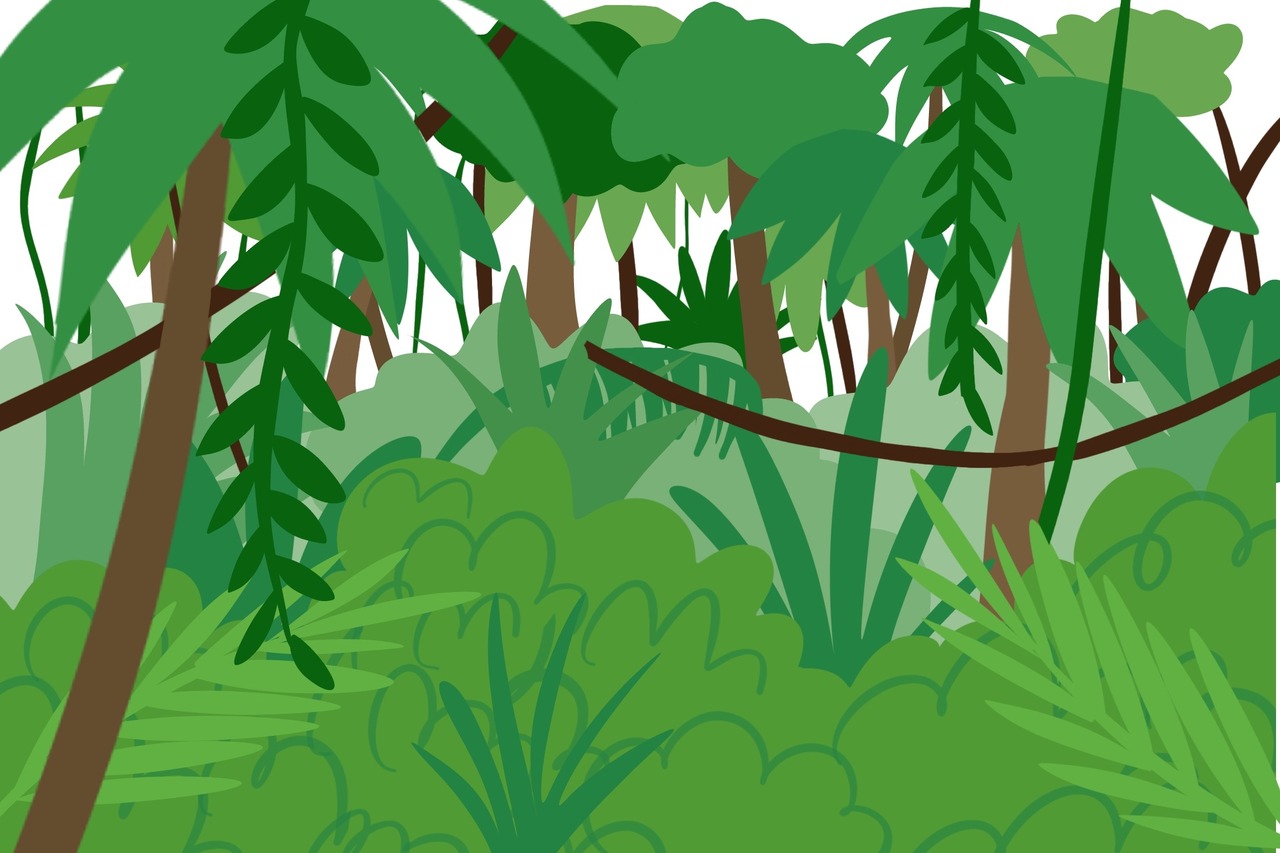 selva