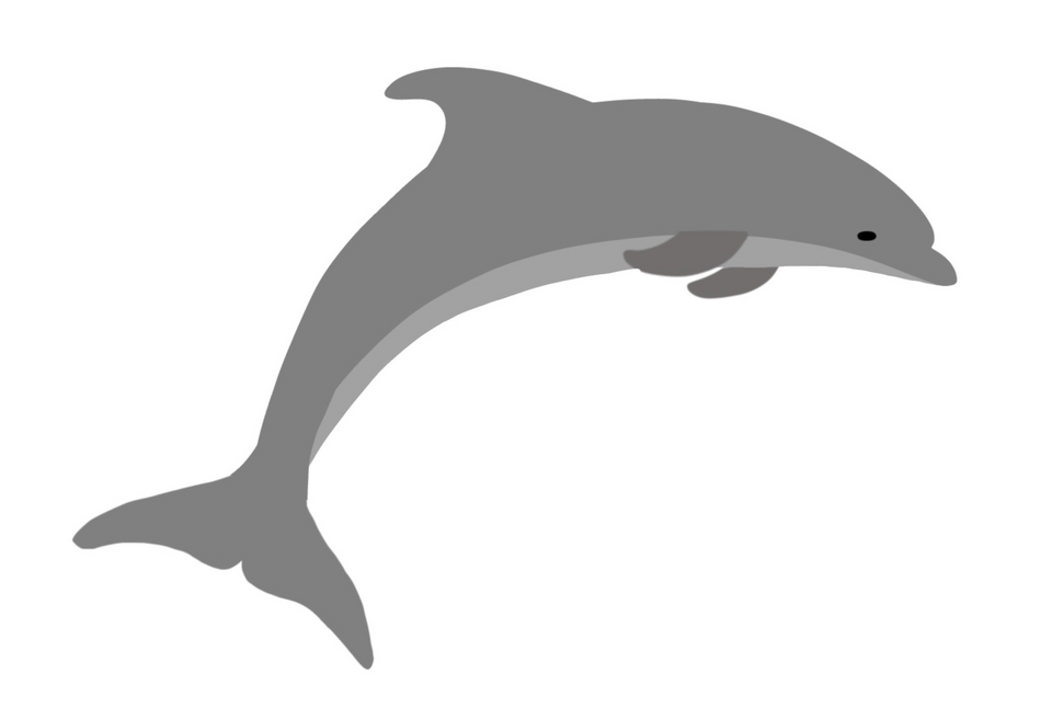 delfin