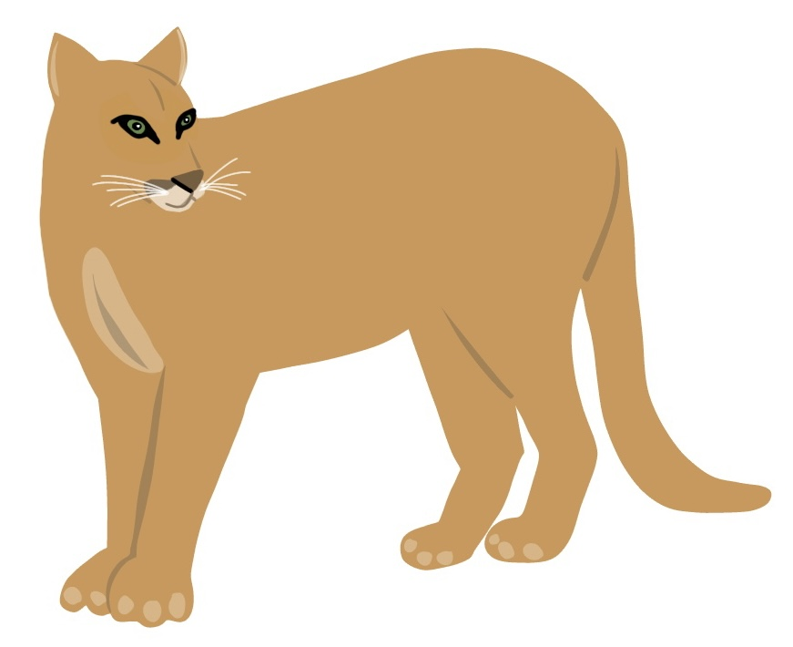 puma
