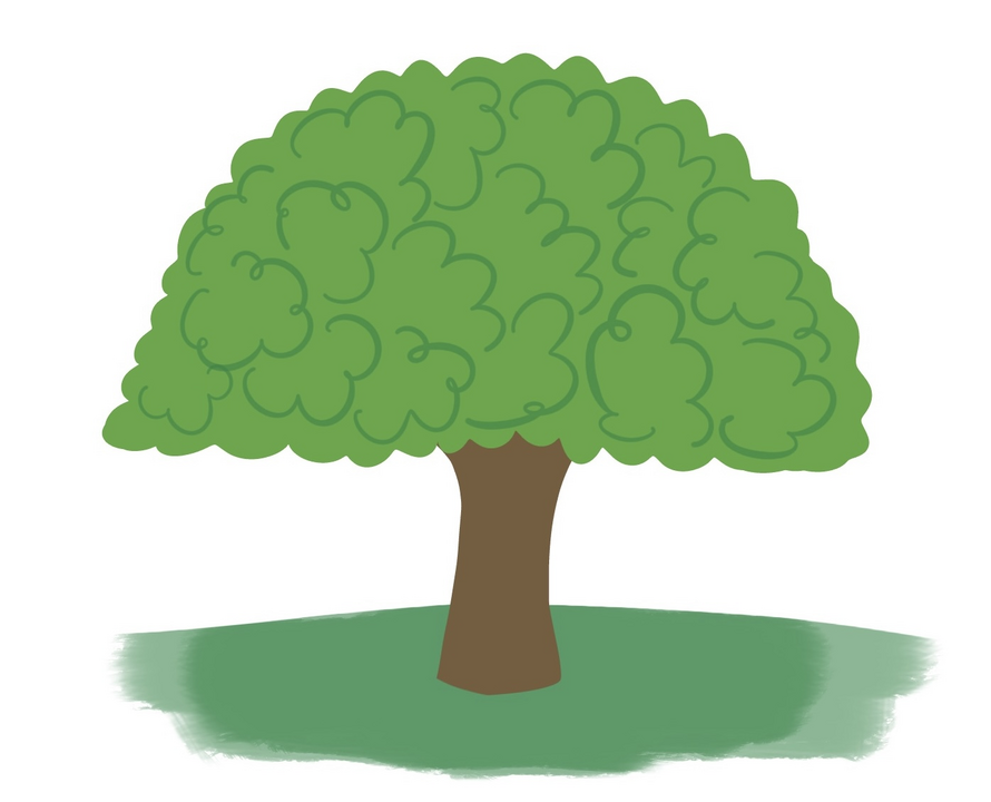 arbol