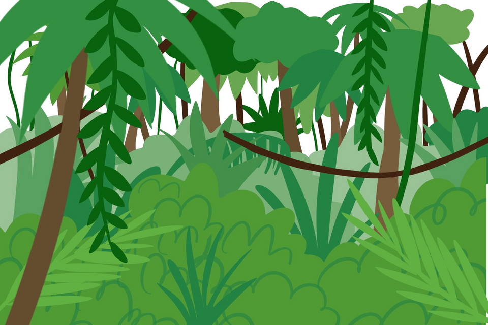 selva