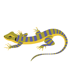 easy6_u05_lizard