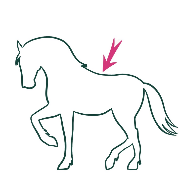 easy6_u06_online_voc_exo1_back