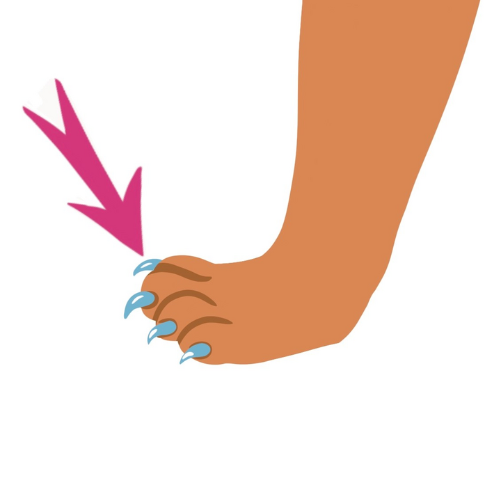 easy6_u06_online_voc_exo1_claw