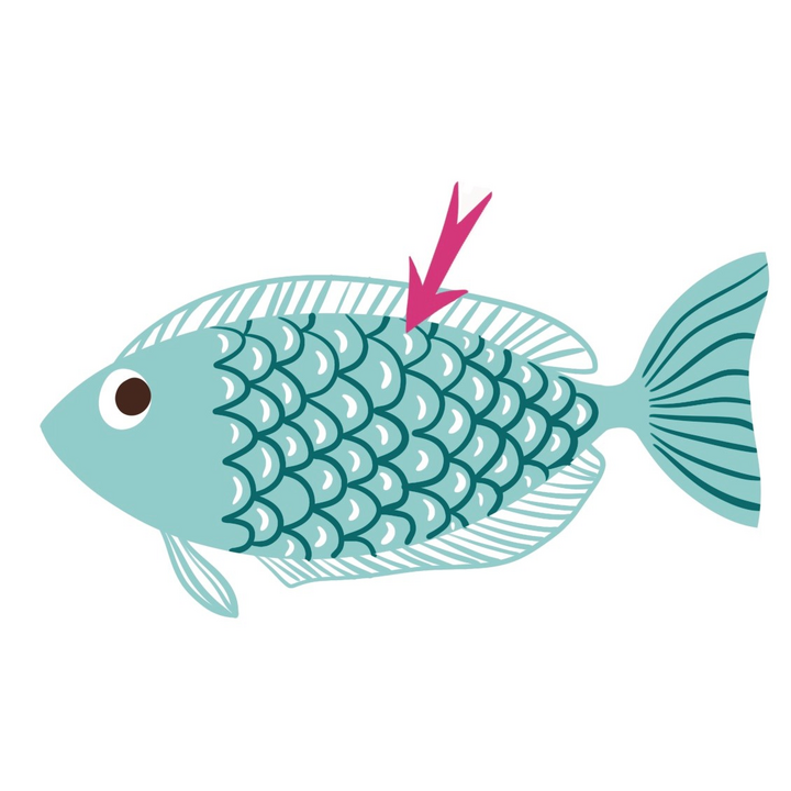 easy6_u06_online_voc_exo1_scales