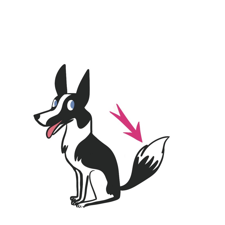 easy6_u06_online_voc_exo1_tail