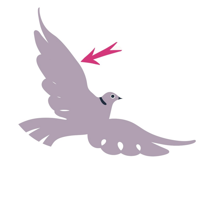 easy6_u06_online_voc_exo1_wing