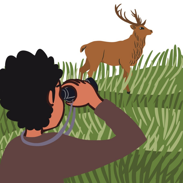 easy6_u07_observer_animaux