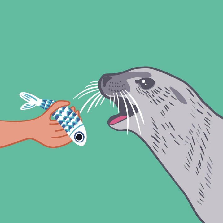 easy6_u07_online_exo3_feeding_animals