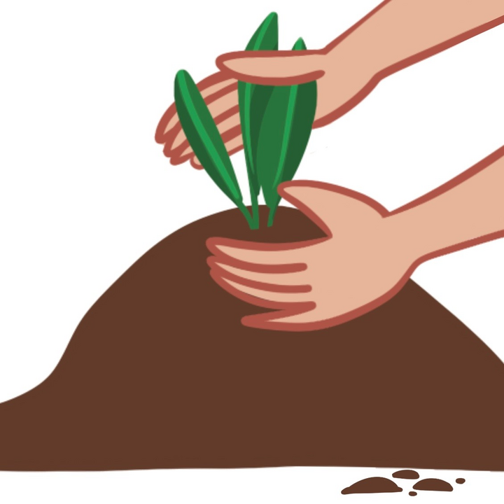 easy6_u09_19_cultiver